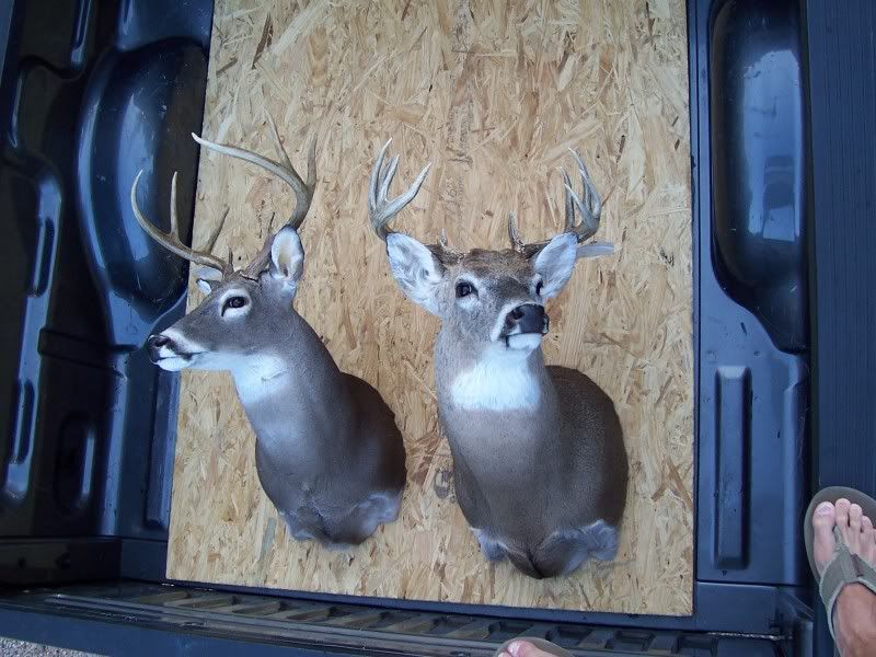 Lake Meredith 2010 TexAgs